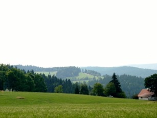 P1240214_(640x480)